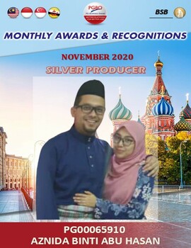 AZNIDA BINTI ABU HASAN SILVER NOV